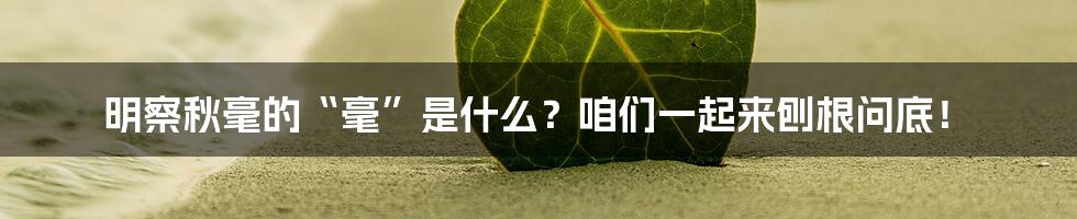 明察秋毫的“毫”是什么?咱们一起来刨根问底!