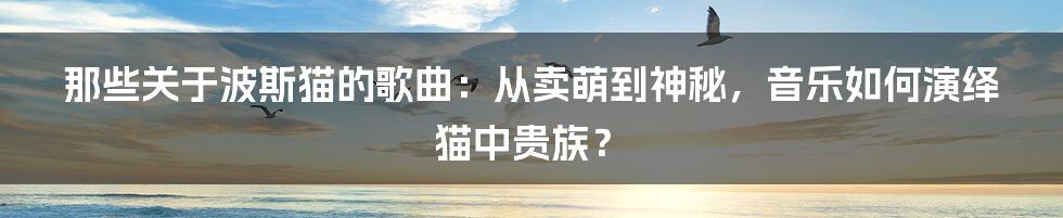 那些关于波斯猫的歌曲：从卖萌到神秘，音乐如何演绎猫中贵族？