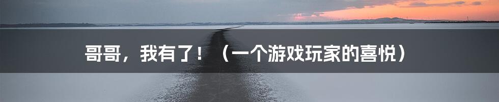 哥哥,我有了!(一个游戏玩家的喜悦)
