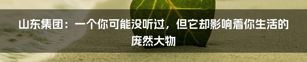 山东集团：一个你可能没听过，但它却影响着你生活的庞然大物