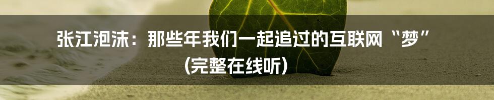 张江泡沫：那些年我们一起追过的互联网“梦” (完整在线听)