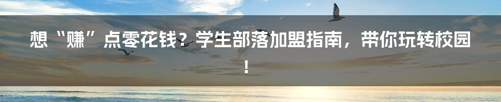 想“赚”点零花钱？学生部落加盟指南，带你玩转校园！