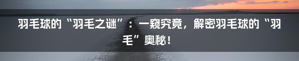 羽毛球的“羽毛之谜”:一窥究竟,解密羽毛球的“羽毛”奥秘!