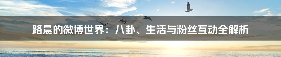 路晨的微博世界：八卦、生活与粉丝互动全解析
