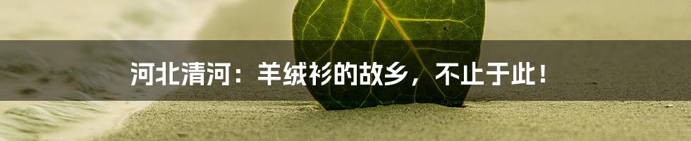 河北清河:羊绒衫的故乡,不止于此!