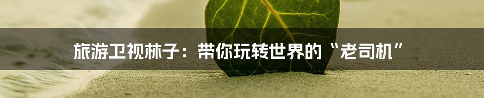 旅游卫视林子:带你玩转世界的“老司机”