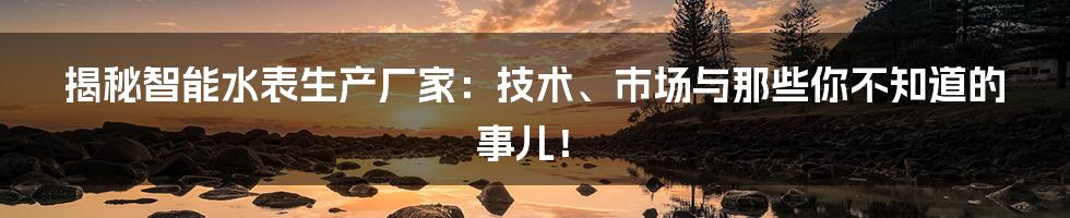揭秘智能水表生产厂家:技术、市场与那些你不知道的事儿!