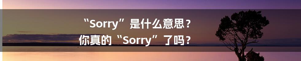 “Sorry”是什么意思? 你真的“Sorry”了吗?