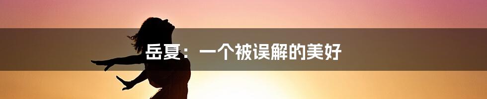 岳夏：一个被误解的美好