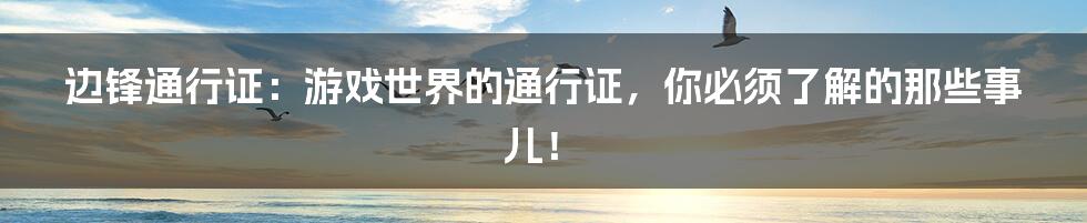 边锋通行证:游戏世界的通行证,你必须了解的那些事儿!