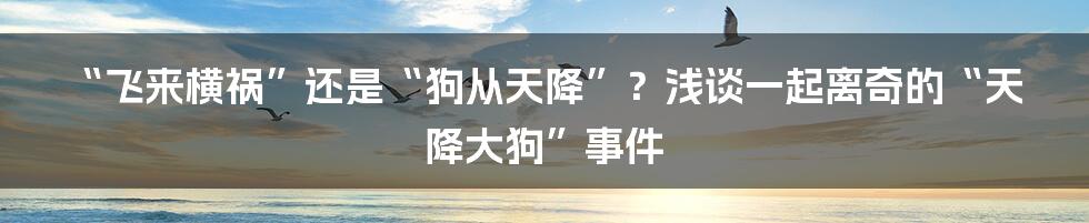 “飞来横祸”还是“狗从天降”?浅谈一起离奇的“天降大狗”事件