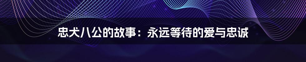 忠犬八公的故事:永远等待的爱与忠诚