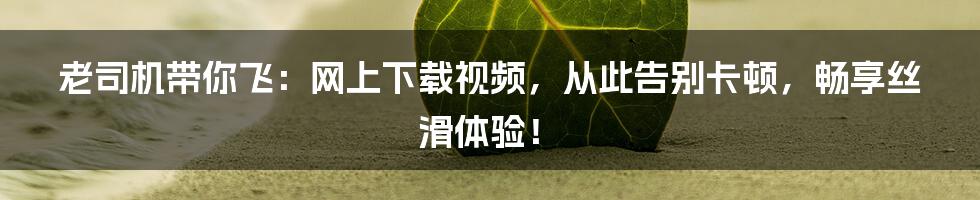 老司机带你飞：网上下载视频，从此告别卡顿，畅享丝滑体验！