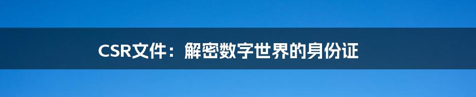 CSR文件:解密数字世界的身份证