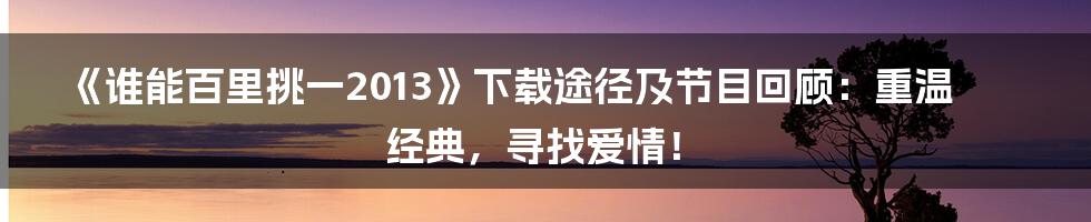 《谁能百里挑一2013》下载途径及节目回顾:重温经典,寻找爱情!