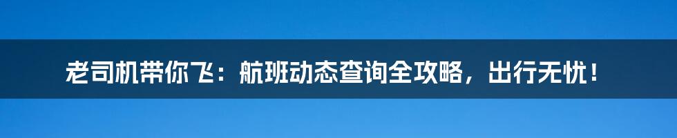 老司机带你飞：航班动态查询全攻略，出行无忧！