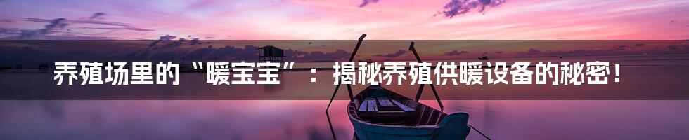 养殖场里的“暖宝宝”:揭秘养殖供暖设备的秘密!