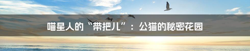 喵星人的“带把儿”:公猫的秘密花园
