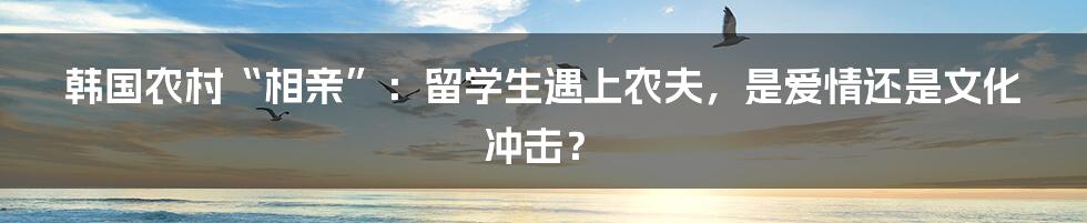 韩国农村“相亲”:留学生遇上农夫,是爱情还是文化冲击?