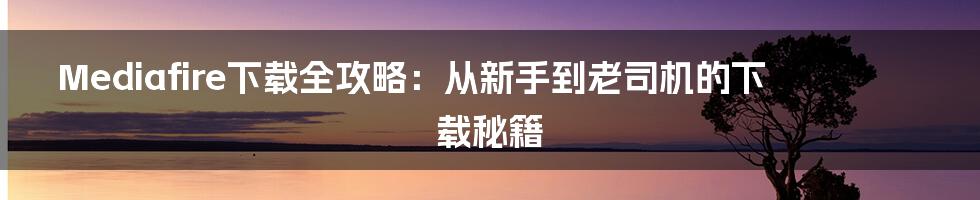 Mediafire下载全攻略：从新手到老司机的下载秘籍