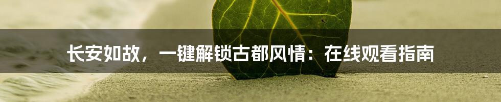 长安如故,一键解锁古都风情:在线观看指南