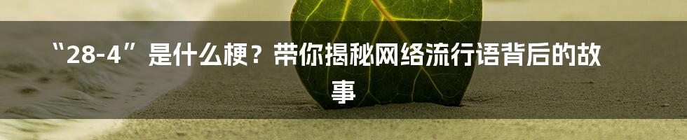 “28-4”是什么梗?带你揭秘网络流行语背后的故事