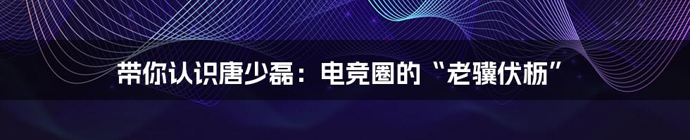 带你认识唐少磊：电竞圈的“老骥伏枥”