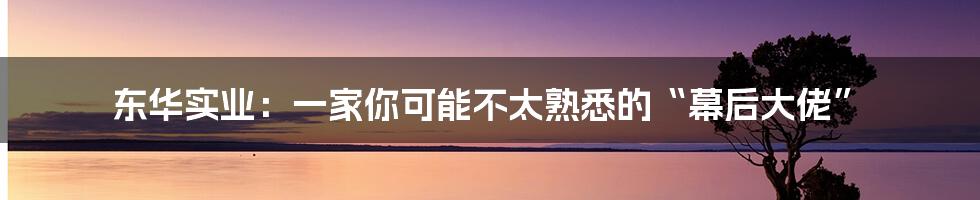 东华实业:一家你可能不太熟悉的“幕后大佬”