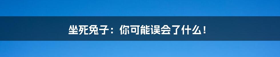 坐死兔子：你可能误会了什么！