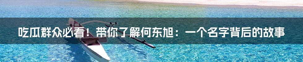 吃瓜群众必看！带你了解何东旭：一个名字背后的故事