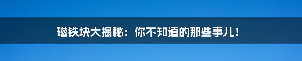 磁铁块大揭秘:你不知道的那些事儿!