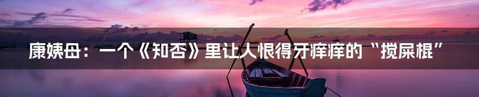 康姨母:一个《知否》里让人恨得牙痒痒的“搅屎棍”