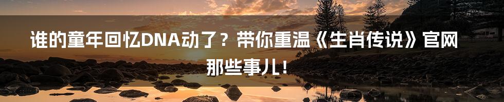 谁的童年回忆DNA动了？带你重温《生肖传说》官网那些事儿！