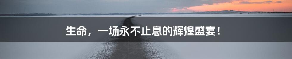 生命,一场永不止息的辉煌盛宴!