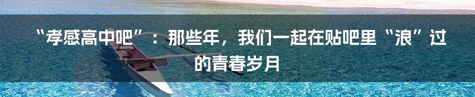 “孝感高中吧”:那些年,我们一起在贴吧里“浪”过的青春岁月