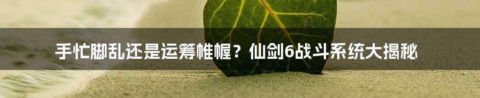 手忙脚乱还是运筹帷幄？仙剑6战斗系统大揭秘