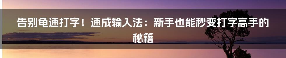 告别龟速打字！速成输入法：新手也能秒变打字高手的秘籍