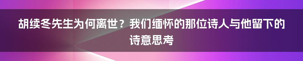 胡续冬先生为何离世?我们缅怀的那位诗人与他留下的诗意思考