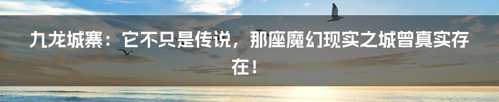 九龙城寨:它不只是传说,那座魔幻现实之城曾真实存在!