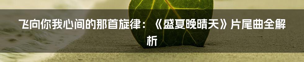 飞向你我心间的那首旋律:《盛夏晚晴天》片尾曲全解析