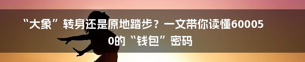 “大象”转身还是原地踏步?一文带你读懂600050的“钱包”密码