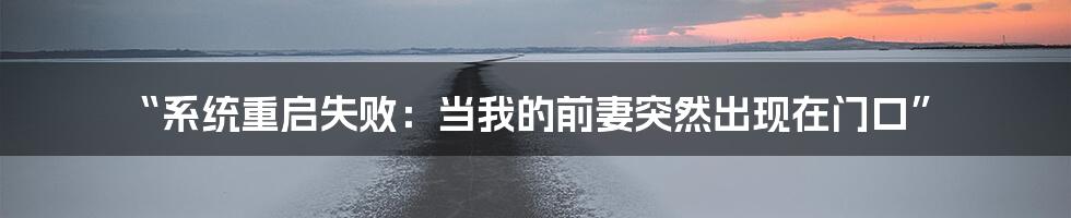 “系统重启失败:当我的前妻突然出现在门口”