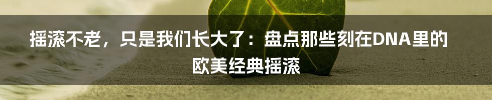 摇滚不老,只是我们长大了:盘点那些刻在DNA里的欧美经典摇滚