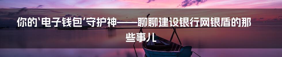 你的‘电子钱包’守护神——聊聊建设银行网银盾的那些事儿