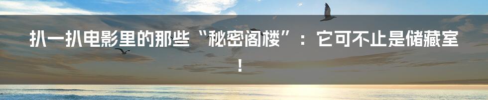 扒一扒电影里的那些“秘密阁楼”:它可不止是储藏室!