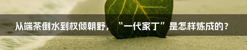 从端茶倒水到权倾朝野,“一代家丁”是怎样炼成的?