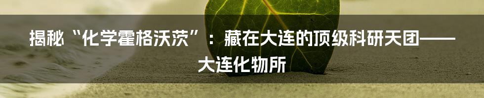 揭秘“化学霍格沃茨”:藏在大连的顶级科研天团——大连化物所