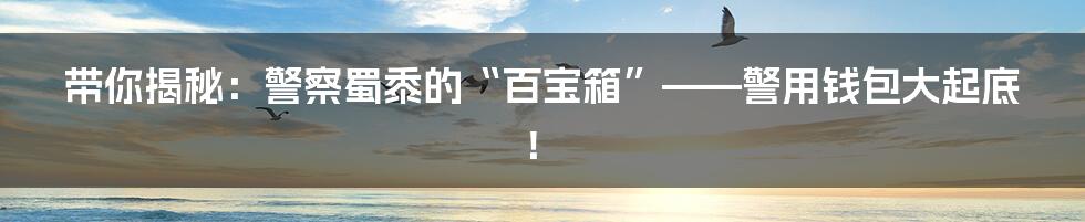 带你揭秘:警察蜀黍的“百宝箱”——警用钱包大起底!