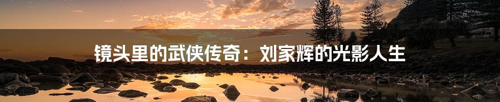 镜头里的武侠传奇：刘家辉的光影人生