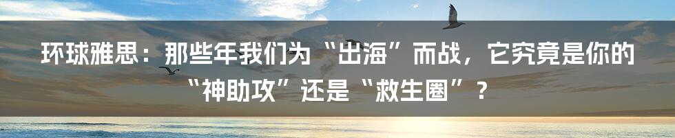 环球雅思:那些年我们为“出海”而战,它究竟是你的“神助攻”还是“救生圈”?
